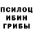 Галлюциногенные грибы мицелий Jose Agostinho