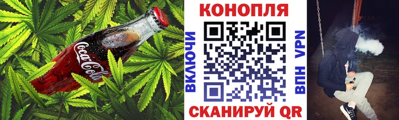 Canna-Cookies конопля  гидра как войти  Данилов 