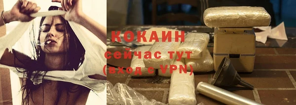 дживик Володарск