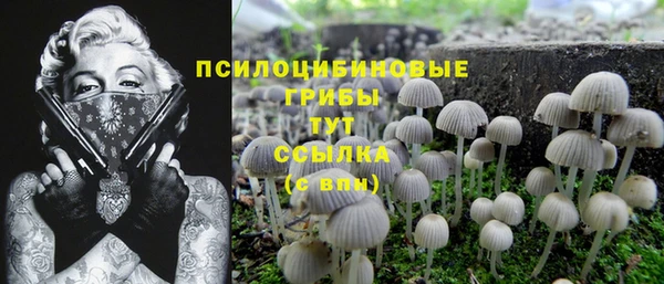 гидра Вязники